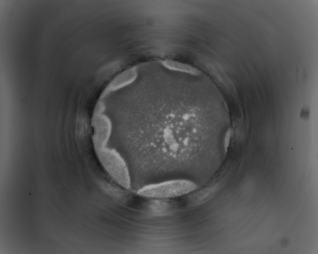 X0000102020623200808081750