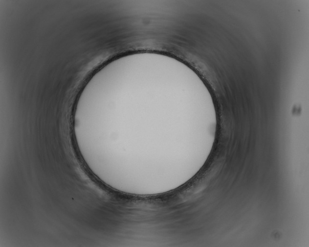 X0000102020625200808081749