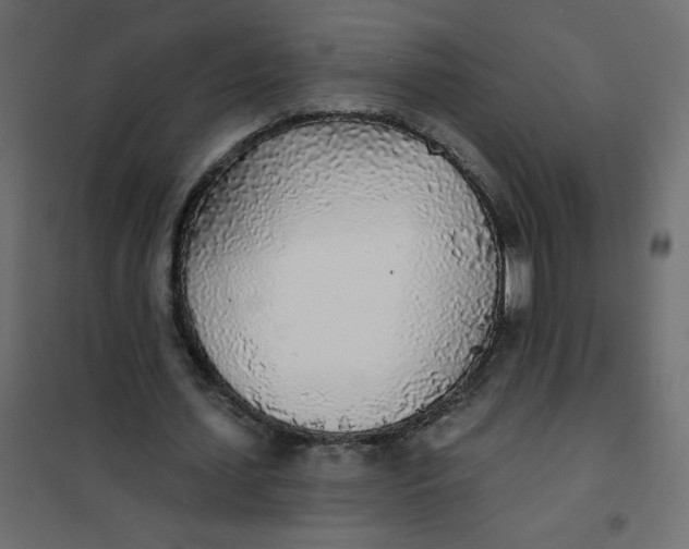 X0000102020627200808081749
