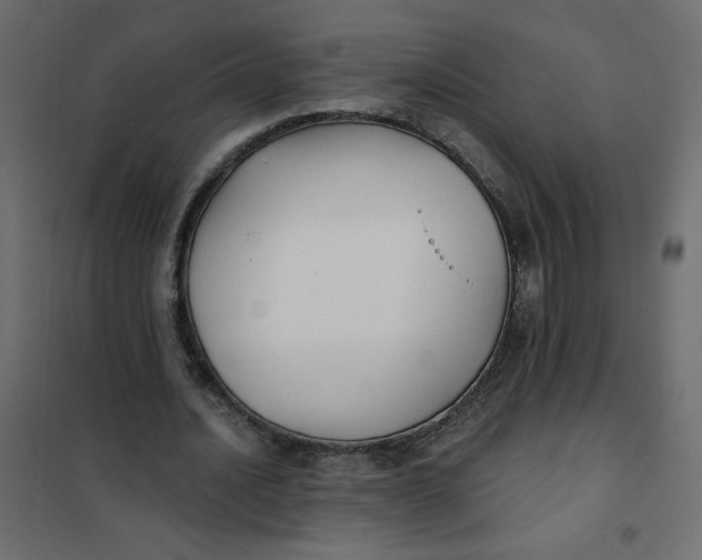 X0000102020628200808081749