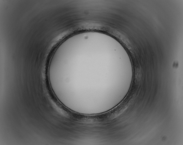 X0000102020629200808081749
