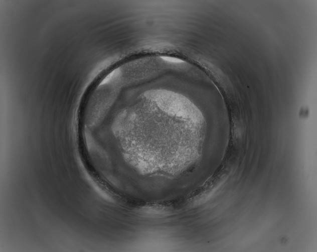 X0000102020630200808081749