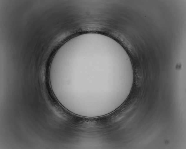 X0000102020631200808081749
