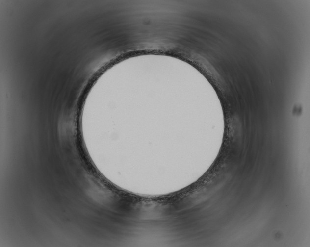 X0000102020632200808081749