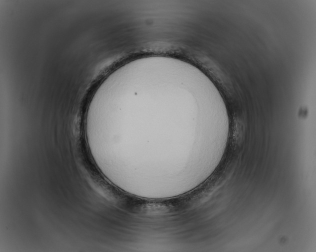X0000102020636200808081749