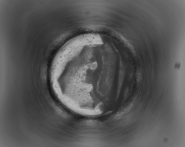 X0000102020637200808081749
