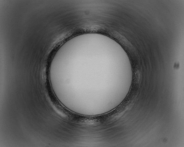 X0000102020638200808081749