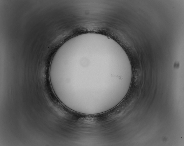 X0000102020639200808081749