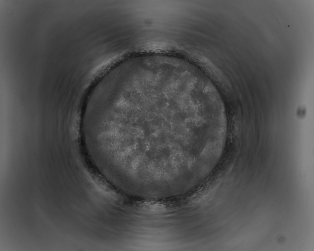 X0000102020640200808081749