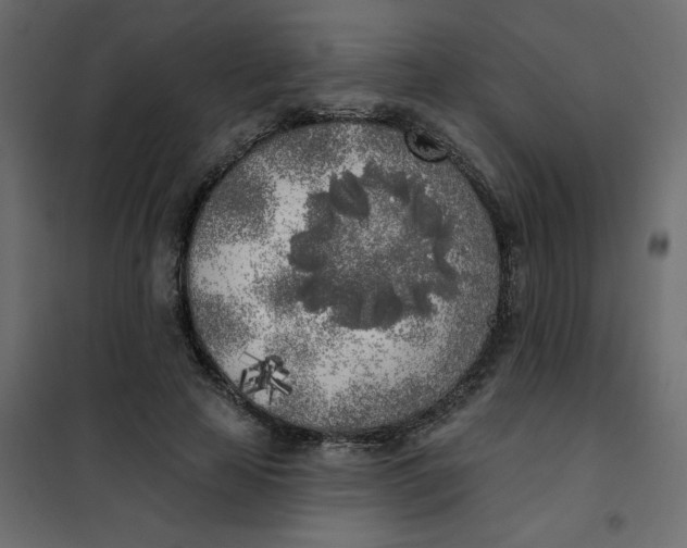 X0000102020641200808081749