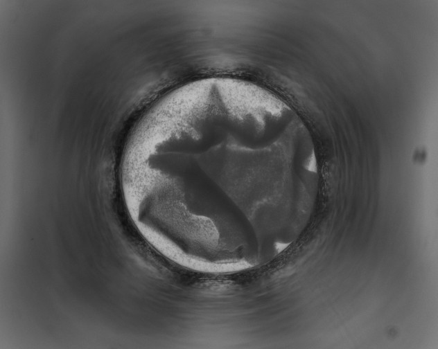 X0000102020642200808081749
