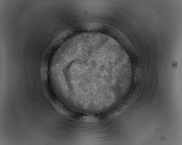 X0000102020644200808081749