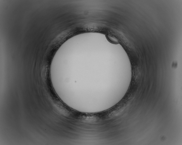 X0000102020645200808081749
