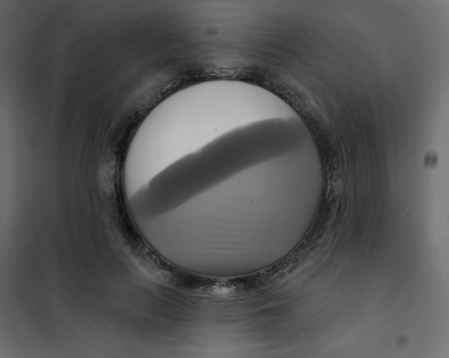 X0000102020647200808081749