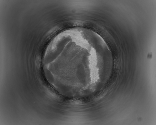 X0000102020648200808081750