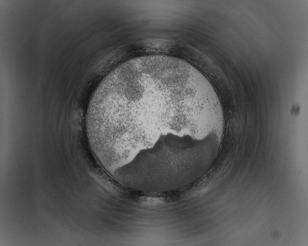 X0000102020649200808081750