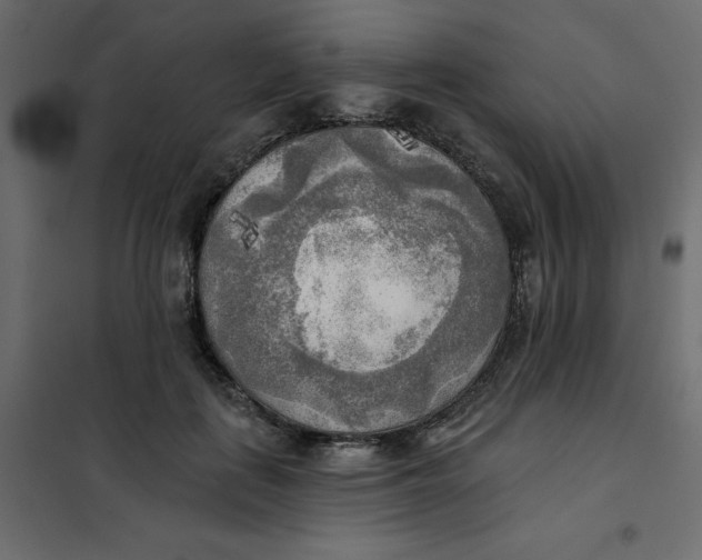X0000102020651200808081750