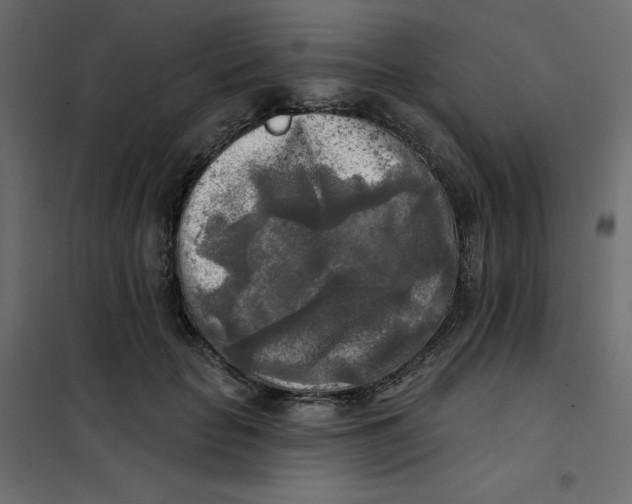 X0000102020653200808081750