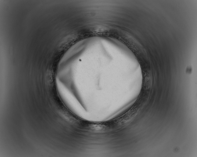 X0000102020654200808081750