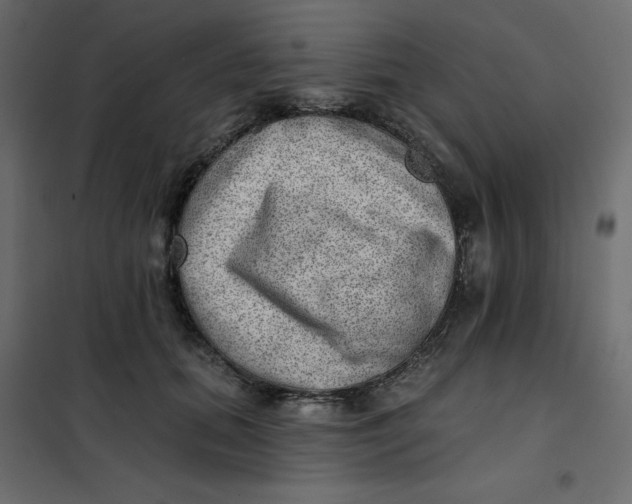 X0000102020655200808081750