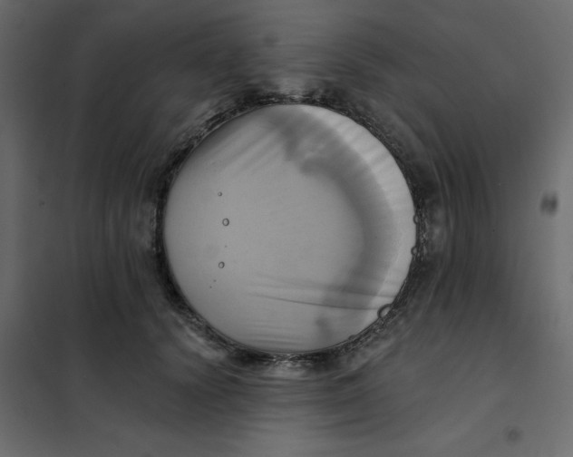 X0000102020656200808081750