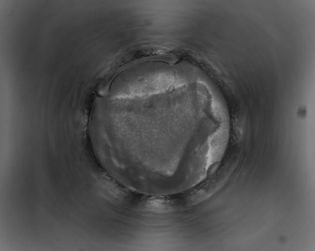 X0000102020657200808081750