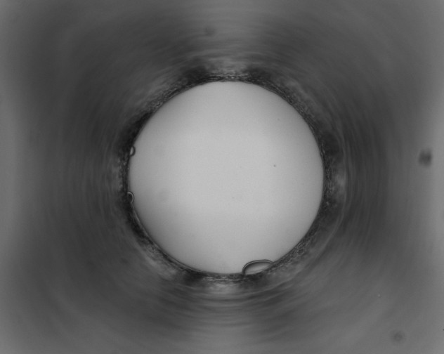 X0000102020658200808081750