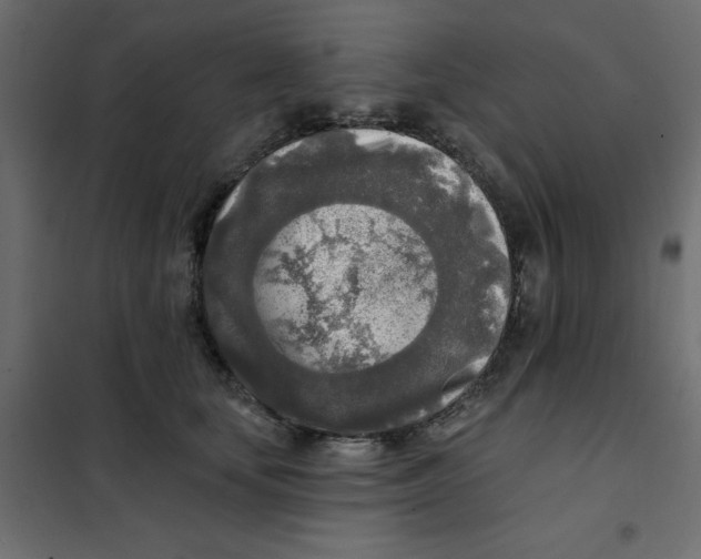 X0000102020659200808081750