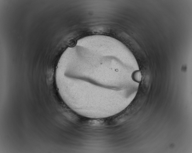 X0000102020660200808081750