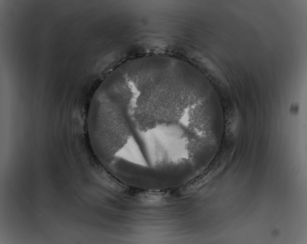 X0000102020661200808081750