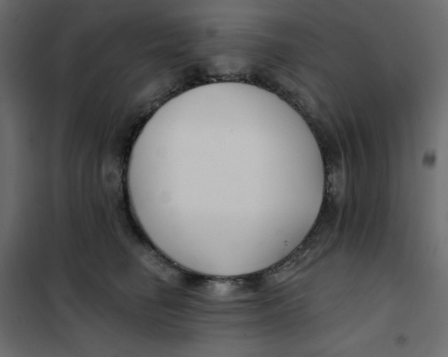 X0000102020662200808081750