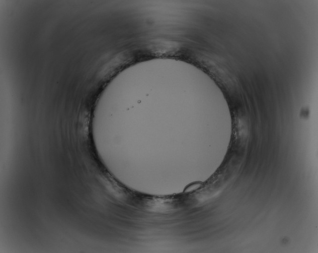 X0000102020664200808081750