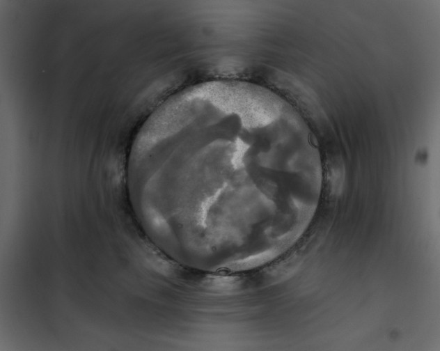 X0000102020665200808081750
