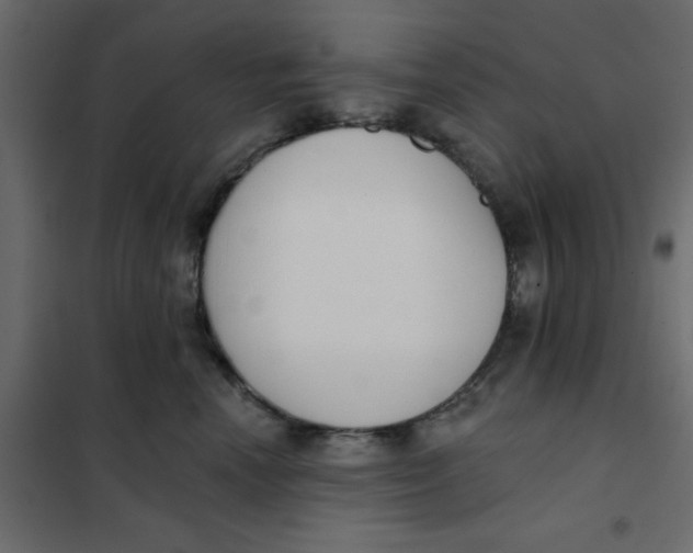 X0000102020666200808081750