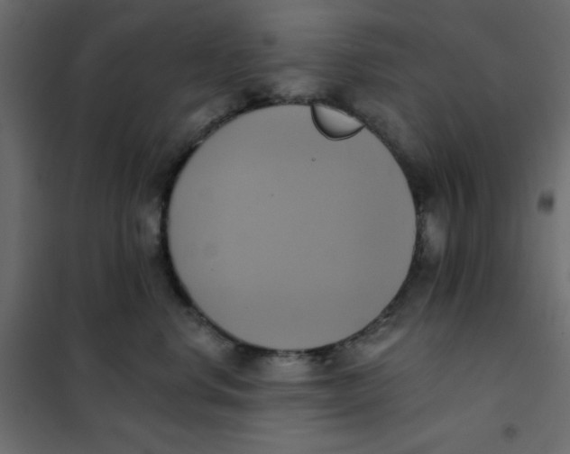 X0000102020668200808081750