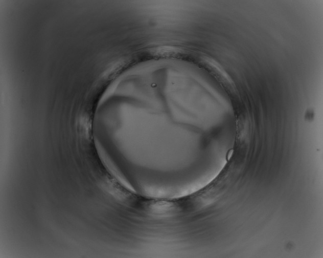 X0000102020669200808081750