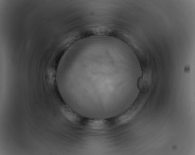 X0000102020671200808081750
