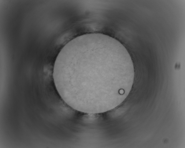 X0000102020672200808081750