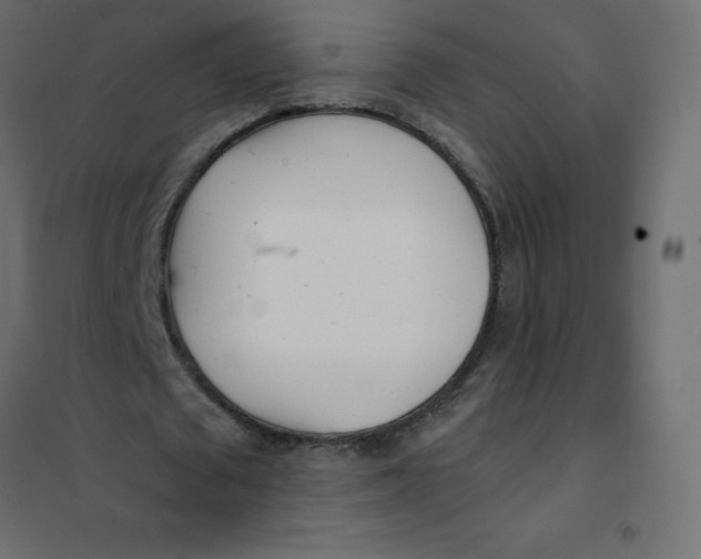 X0000102020673200808081749