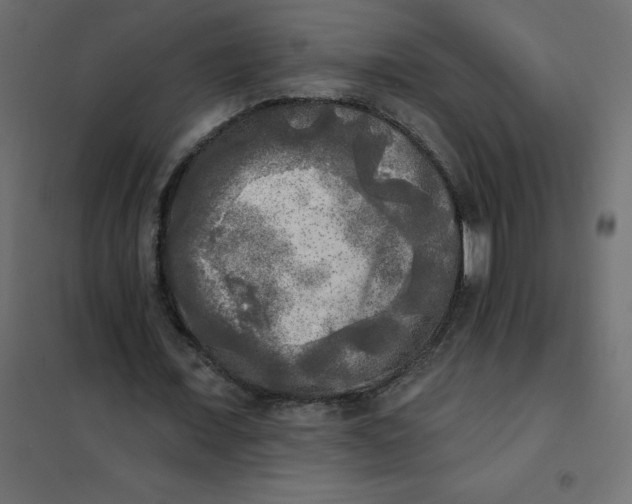 X0000102020675200808081749