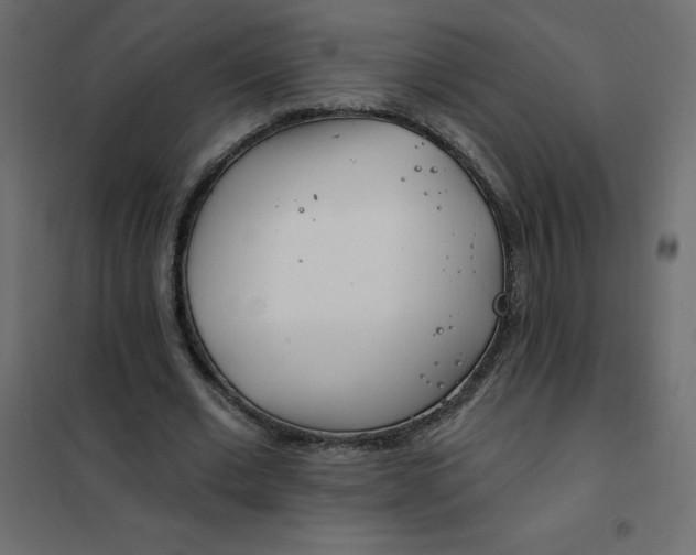 X0000102020677200808081749