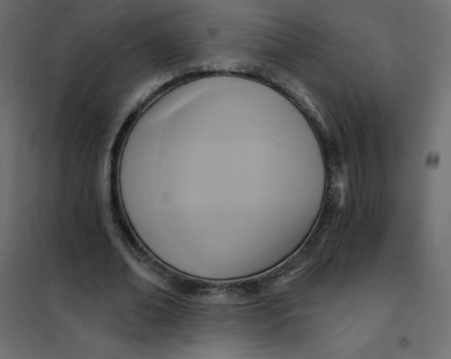 X0000102020678200808081749