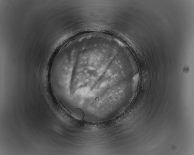 X0000102020679200808081749