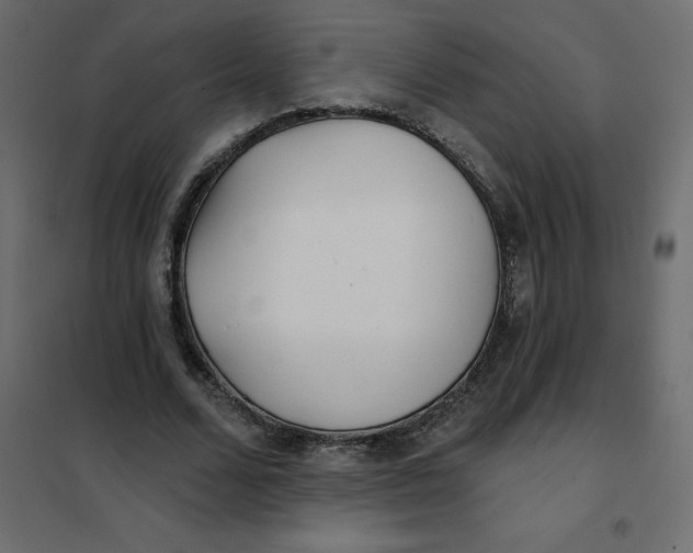 X0000102020680200808081749