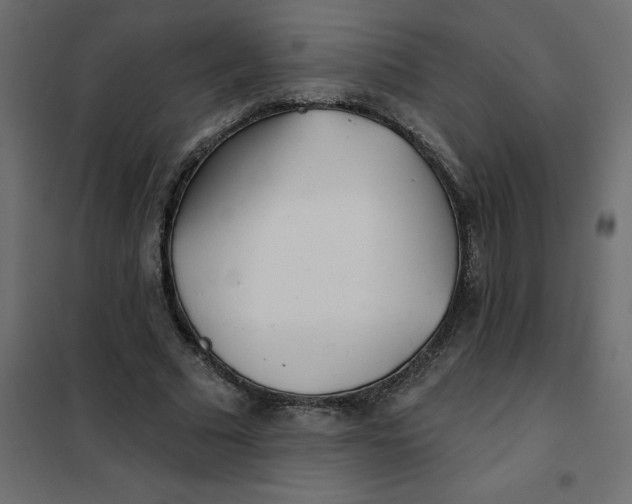 X0000102020681200808081749