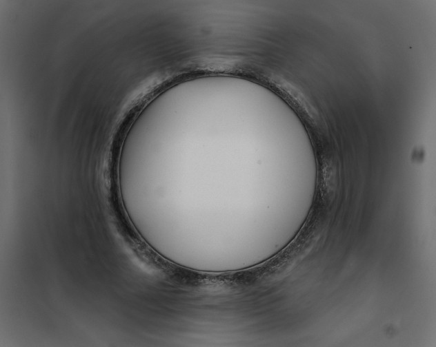 X0000102020682200808081749
