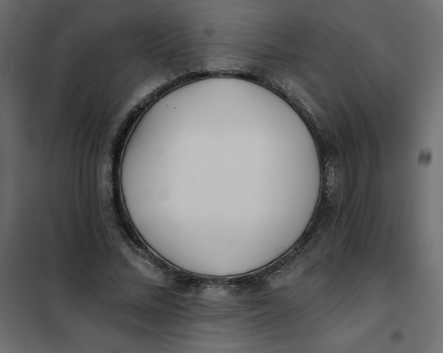 X0000102020684200808081749