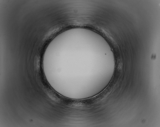 X0000102020685200808081749