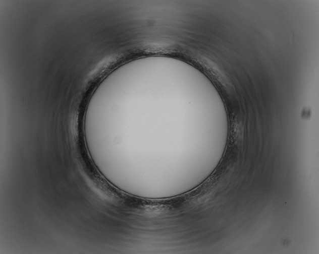 X0000102020686200808081749