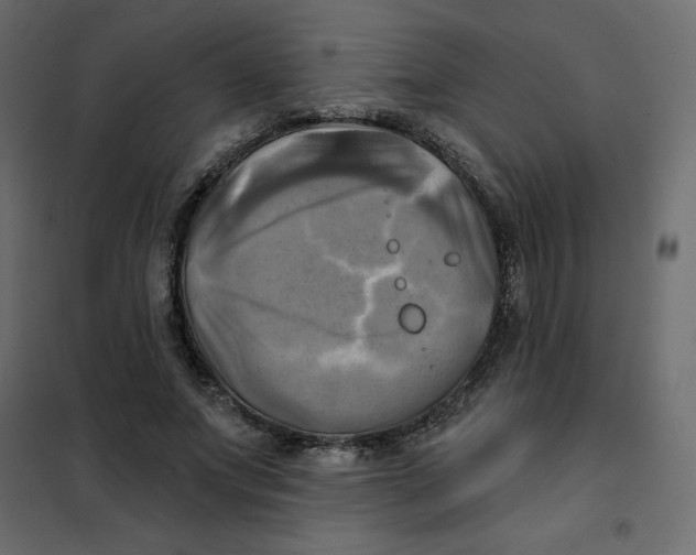 X0000102020687200808081749